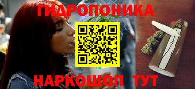 хмурый Аргун