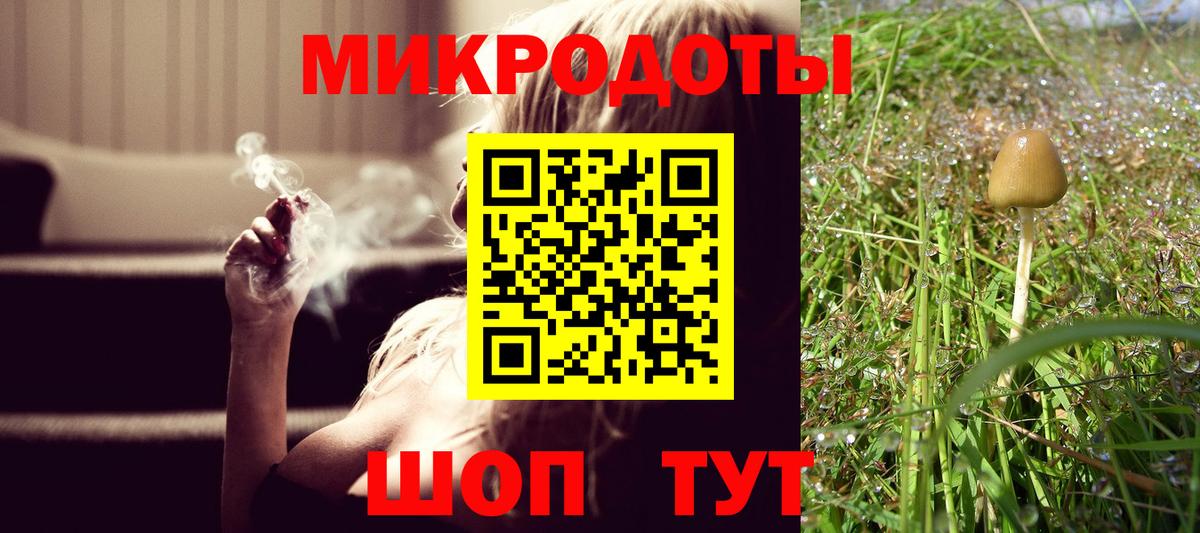 Галлюциногенные грибы Psilocybe Барнаул