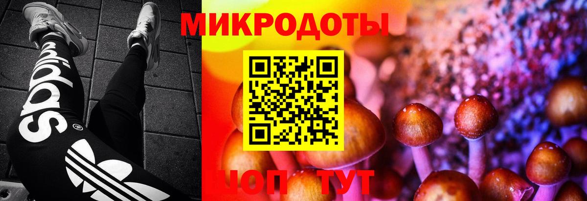 Галлюциногенные грибы мицелий  Вход с VPN  Галлюциногенные грибы Psilocybine cubensis  Барнаул 